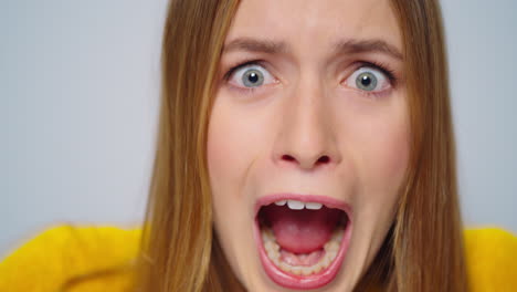 closeup rage woman screaming at camera on grey background. stressed female model