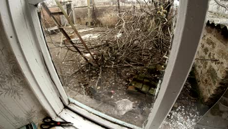 watching the small animals in the yard of a remote village through the window in the spring