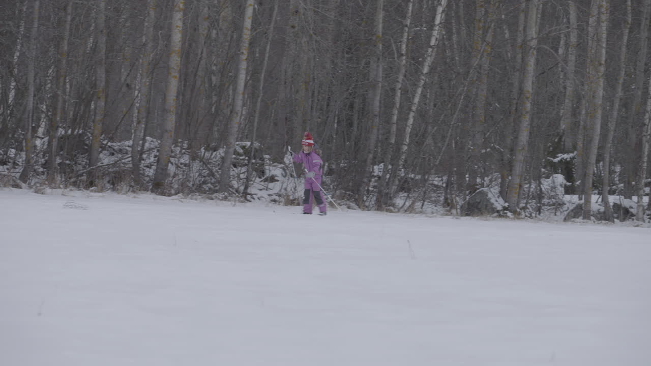 겨울 방학 동안 혼자 어린 소녀 노르딕 스키