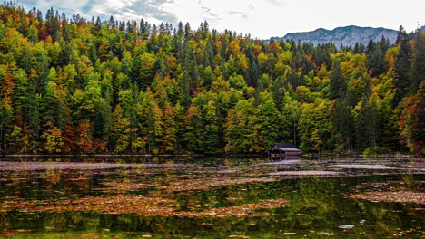 A-wide-river-flowing-in-the-Austrian-forest-in-autumn---time-lapse