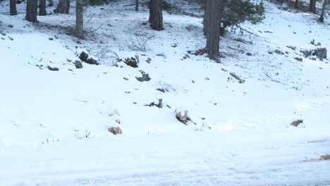 get out snow