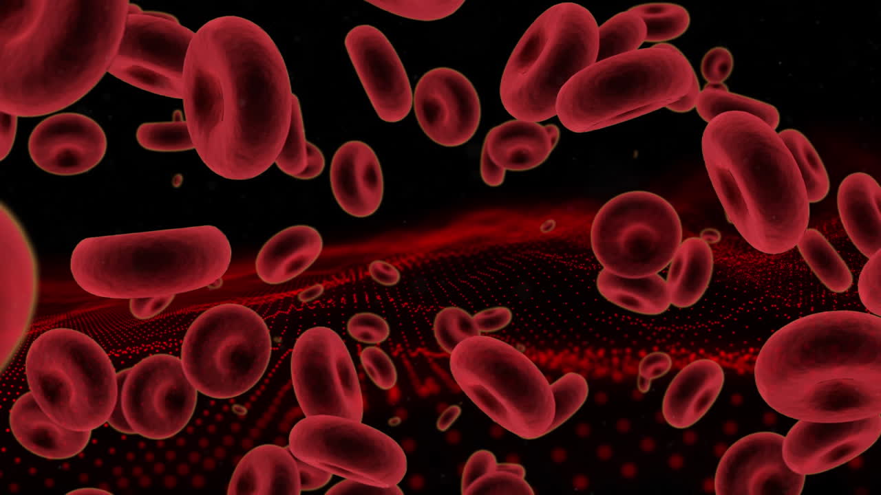 animación de células sanguíneas flotando sobre un fondo negro