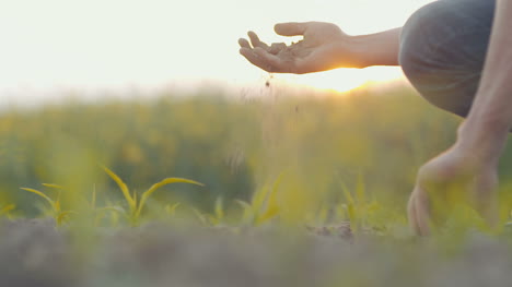 Soil-Agriculture-Farmer-Hands-Holding-And-Pouring-Back-Organic-Soil-1