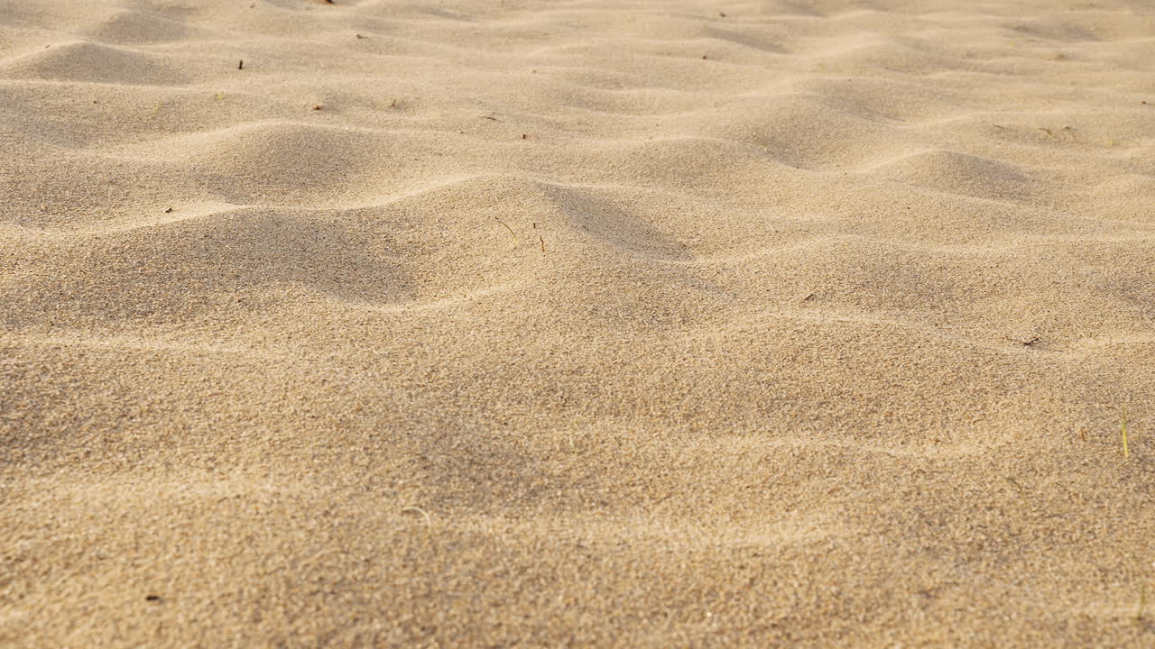 Golden brown desert sand ripples in morning sunlight