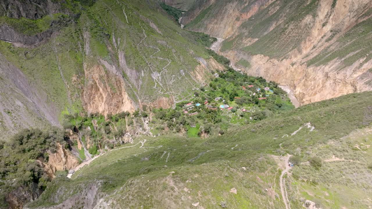 Drone shot capturing Sangalle Oasis in the background, with the two distinct trekking paths converging toward it, set against the dramatic landscape of the Colca Canyon.