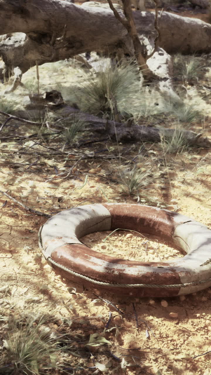 Lifebuoy resting on sunlit ground amidst dry vegetation in a tranquil setting