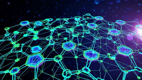 Network Connections