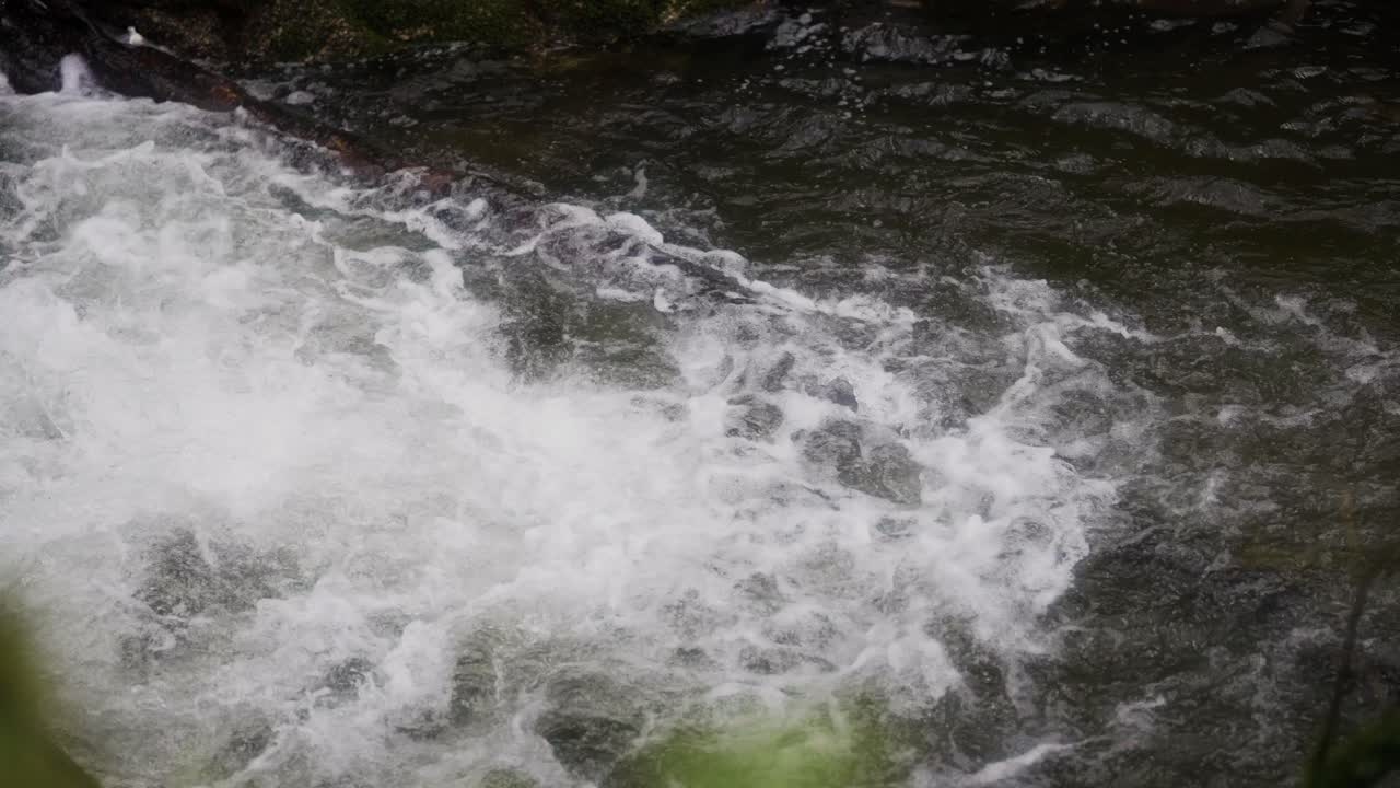 Rushing River Rapids Close-up Shot