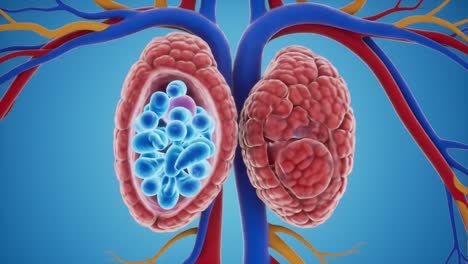 detailed anatomical illustration showcasing human kidneys with surrounding blood vessels in a realistic 3d representation against a blue background
