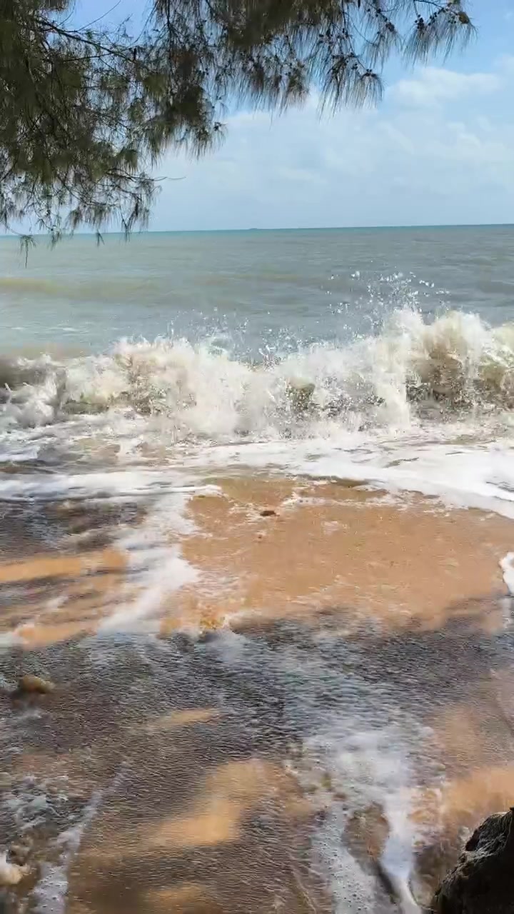 Onde dell'oceano che si infrangono su una spiaggia sabbiosa sotto un pino