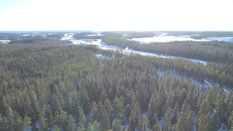 Flying-over-a-finnish-winter-forest