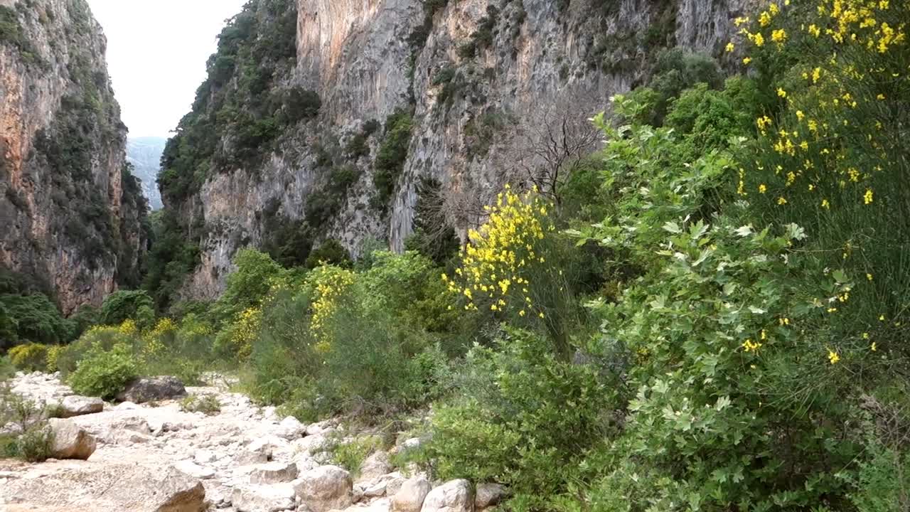 inside Canyon of Gjipe in Vlore County, Albania