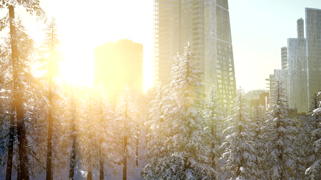 해가 뜨면 눈에  ⁇ 은 도시와 숲