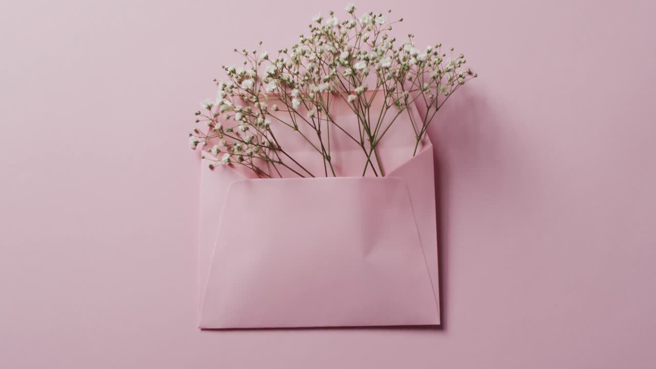 Video di fiori rosa in una busta rosa con spazio per il testo su sfondo rosa.