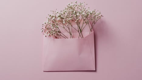 Video-of-pink-flowers-in-pink-envelope-and-copy-space-on-pink-background