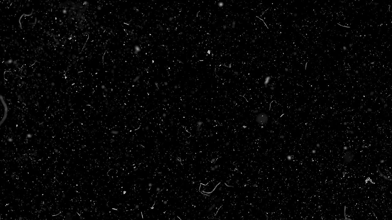 polvo y arañazos en fondo negro