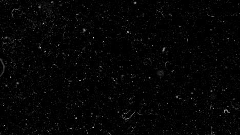 dust and scratches on black background