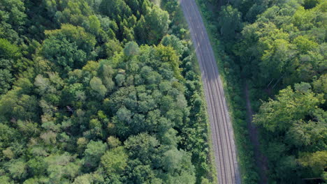 Aerial-tilt-up-shot-of-rails-between-forest-trees-in-wilderness-of-at-sunlight