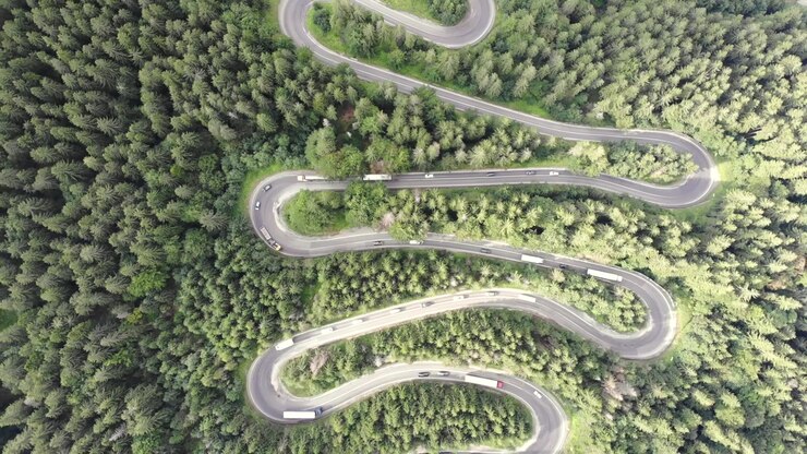 Filmato con drone su una strada di montagna sinuosa attraverso una fitta pineta durante una giornata di traffico intenso