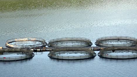 fishpond in а dam