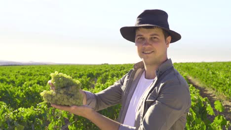 retrato de un hombre mayor sosteniendo uvas en una granja de uvas.