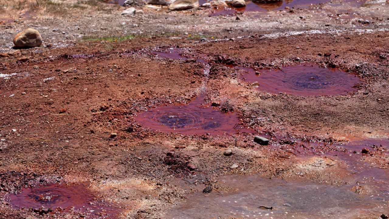 Natural bubbles emerging from Soda Springs in Yosemite National Park, California. These effervescent bubbles are caused by underground carbon dioxide escaping through mineral-rich freshwater