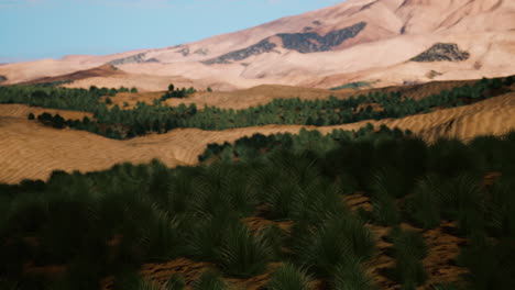 paisaje escénico de estepa desértica con montañas