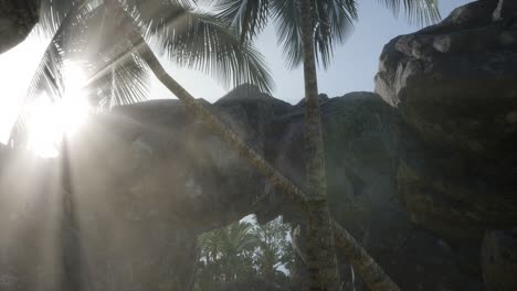 Big-Palms-in-Stone-Cave-with-Rays-of-Sunlight