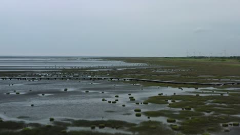 Cinematic-low-level-aerial-dolly-in-shot-capturing-the-pristine-landscape-of-grassy-tidal-flats-at-Gaomei-wetlands-preservation-area-at-dusk,-in-Taichung-city,-Taiwan