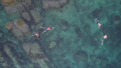 people snorkeling in the crystal clear waters of a tropical beach