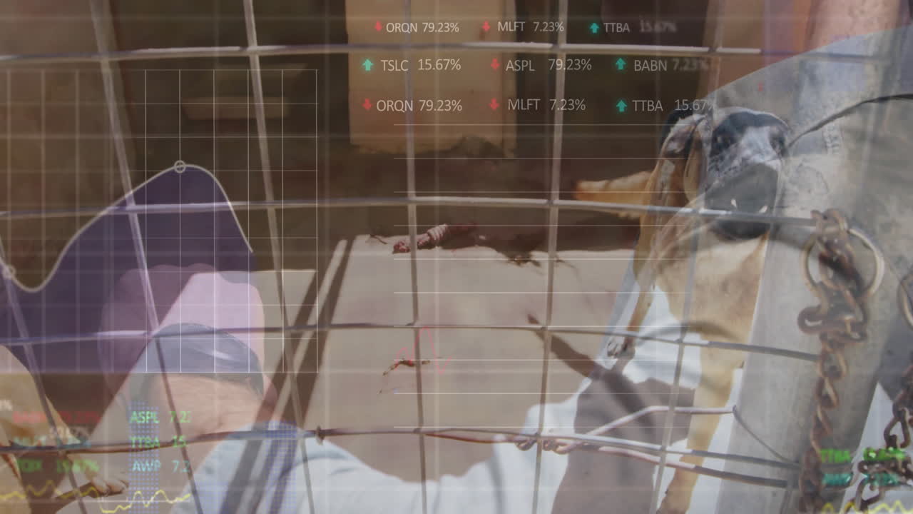 male kneeling at wire mesh fence toward dog, showing smartwatch with animated stock charts