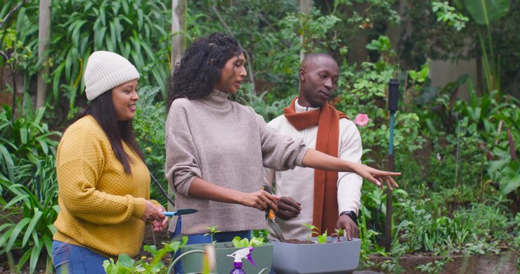 African American friends left pointing with shears, spacing seedlings evenly with trowel in planter