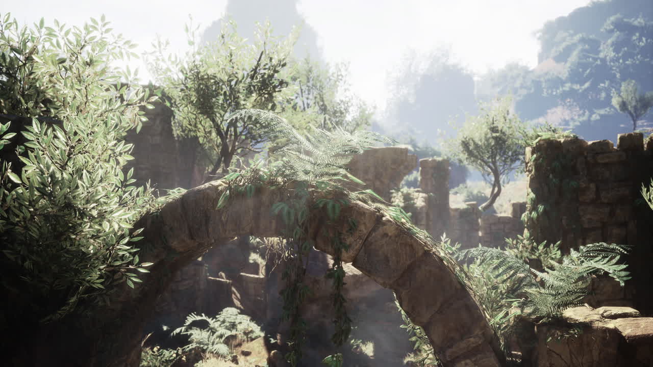 Arco de piedra en ruinas entre exuberante vegetación e iluminación solar en un entorno sereno