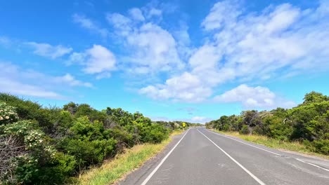 a 15-second video capturing a drive along the great ocean road, showcasing lush greenery and clear blue skies