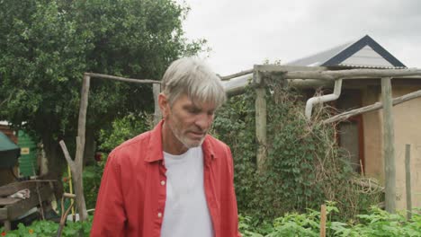 portrait of smiling senior caucasian man working in garden alone