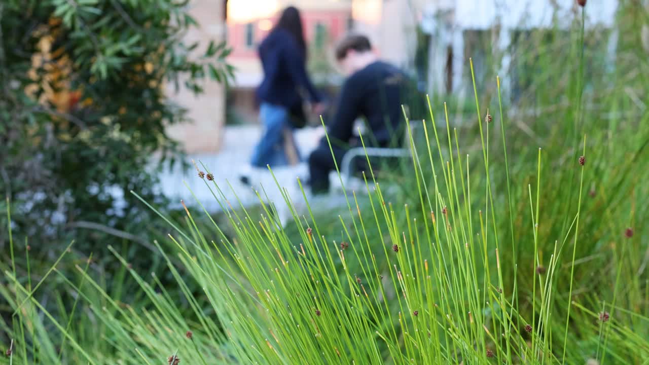 멜버른 의 그린리 근처 에서 상호 작용 하는 두 사람