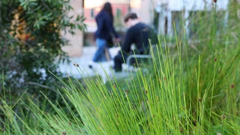 two people interacting near greenery in melbourne