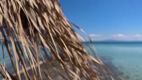 stunning beach scene in halkidiki, greece, with elegant sunbeds facing the crystal-clear turquoise sea. a perfect summer escape in the heart of the aegean.