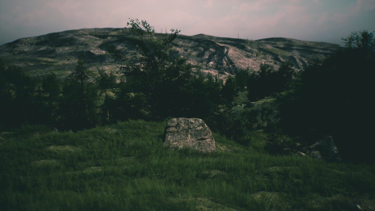 una roca solitaria en un claro de hierba en el bosque, con una montaña en el fondo