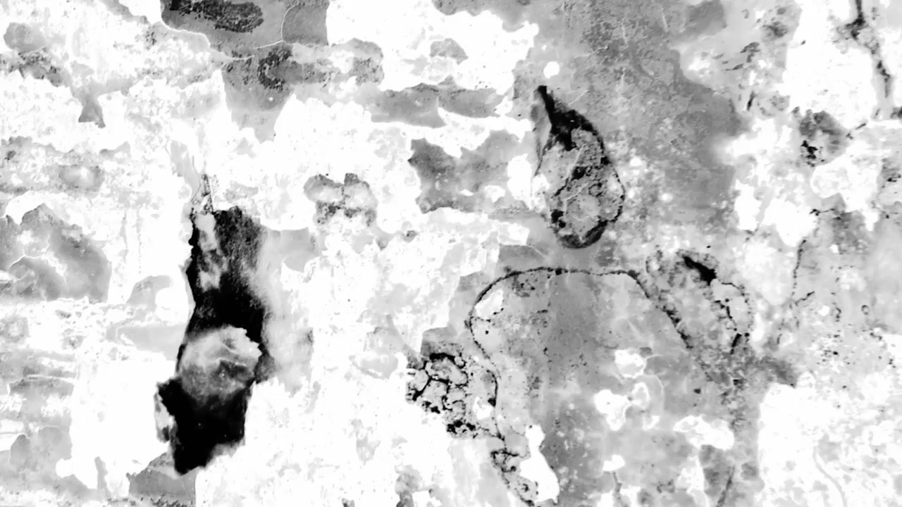 Sfondo dinamico astratto con inchiostro che scorre in bianco e nero