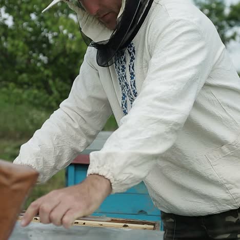 humanos examinan una colmena de abejas