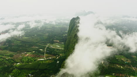 misty mountain landscape with dense forest