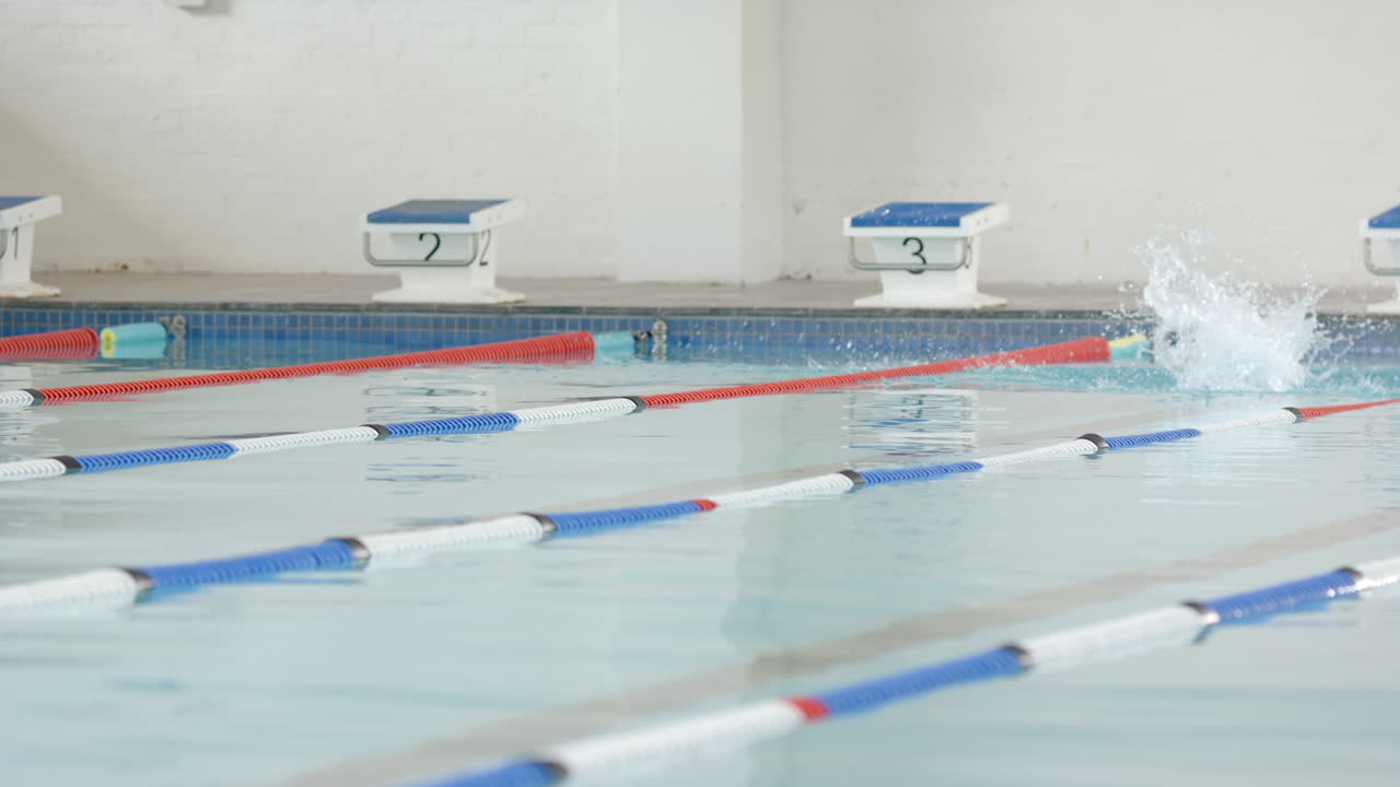 Swimming in lane, athlete practicing in indoor pool, preparing for competition, copy space