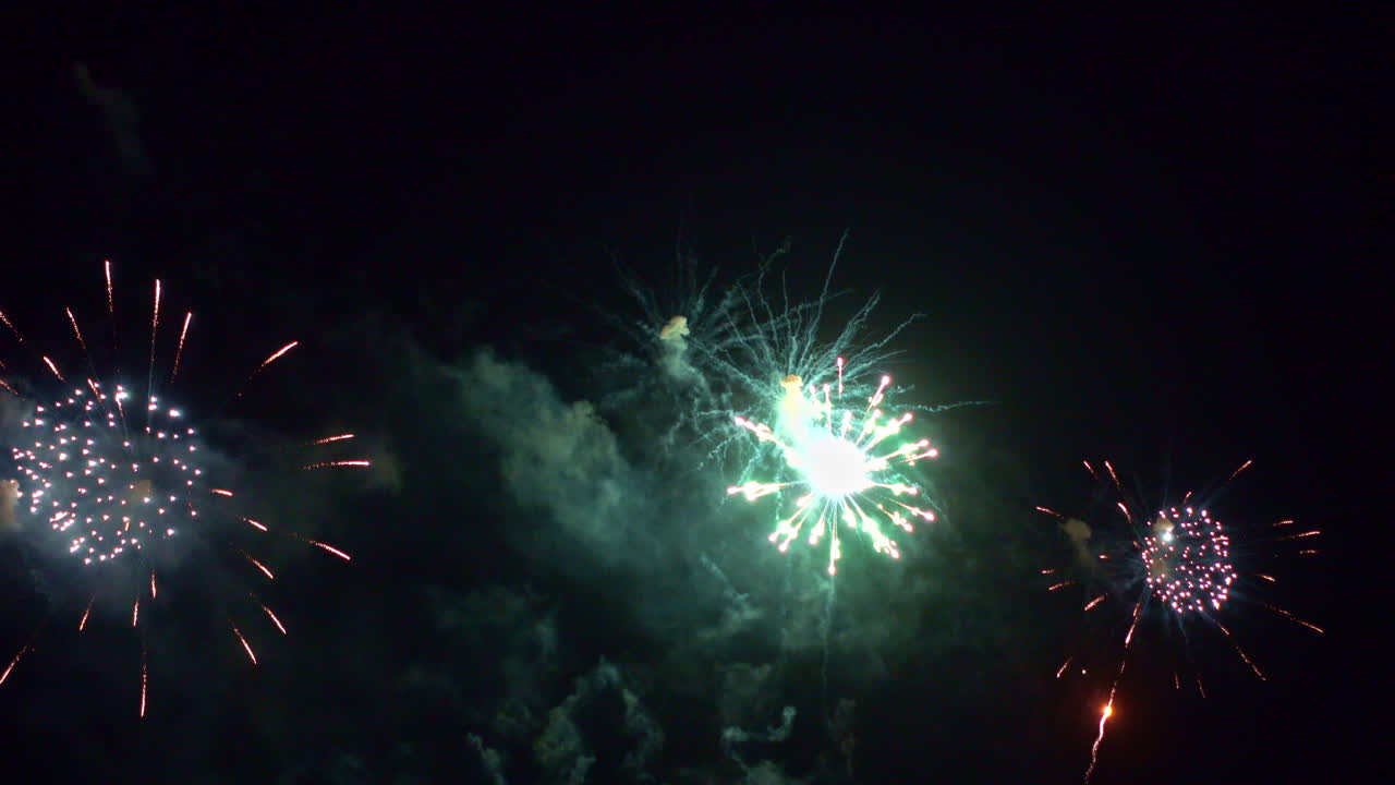 hermosa y colorida exhibición de fuegos artificiales en la noche