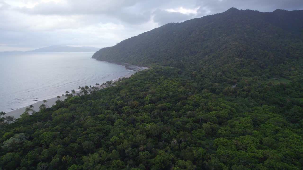 montañas boscosas en el parque nacional daintree en cape tribulation, norte de queensland, australia