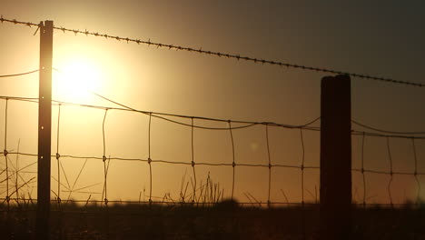 Langsame-Schwenkung-Eines-Silhouetten-Ackerlanddrahtzauns-Für-Eine-Kuhweide-Mit-Blick-In-Die-Sonne