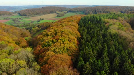 drone-flight-over-beautiful-autumn-colored-forest-and-autumn-landscape