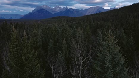 Mountain-range-approaching-pine-forest-sideways-close-up