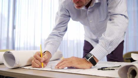 arquitecto trabajando en el plan