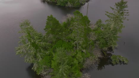 Empire-Lake-En-Coos-Bay,-Volando-Hacia-Arriba-Sobre-Los-árboles,-Fotografiado-Con-Un-Dron-Mavic-3